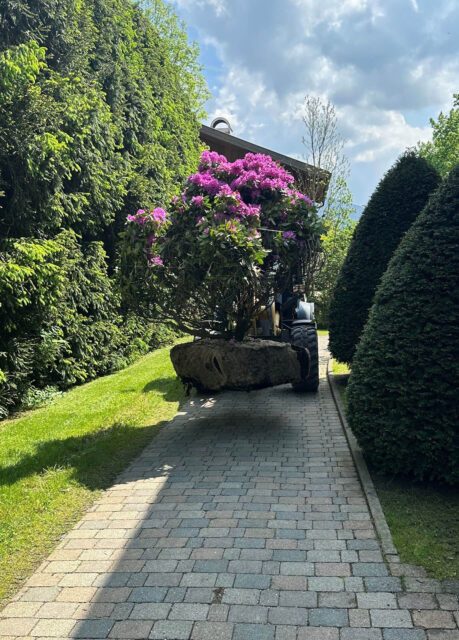 rotter-schliersee-bild-21