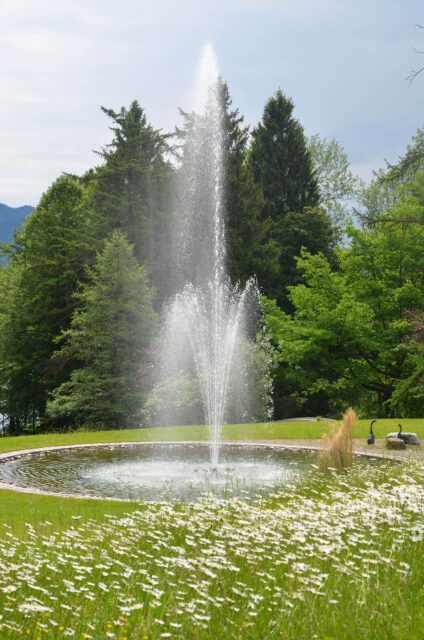 rotter-schliersee-bild-28