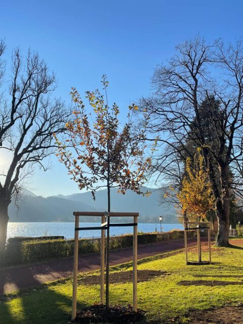 rotter-schliersee-bild-34