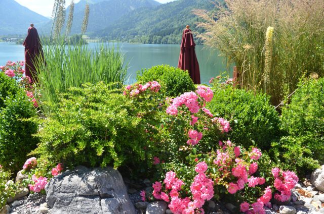 rotter-schliersee-bild-17